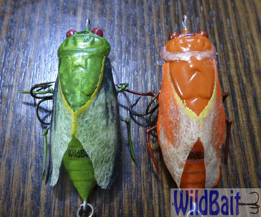 Wildbait Bug 'Cicada' – WildBait
