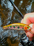 WildBait RT6