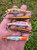 WildBait RT6