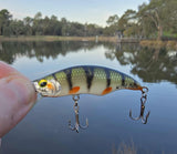 WildBait Redfin "RF60"