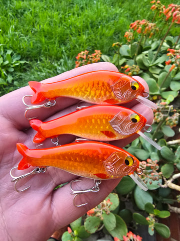 Wildbait Goldfish 2026 "GF6"