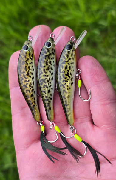 Wildbait RB6