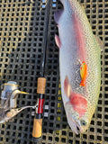 Wildbait Goldfish 2026 "GF6"