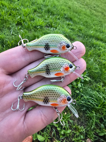 WIldbait "unnamed45"