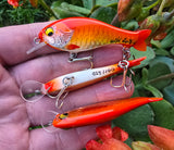 Wildbait Goldfish 2026 "GF6"