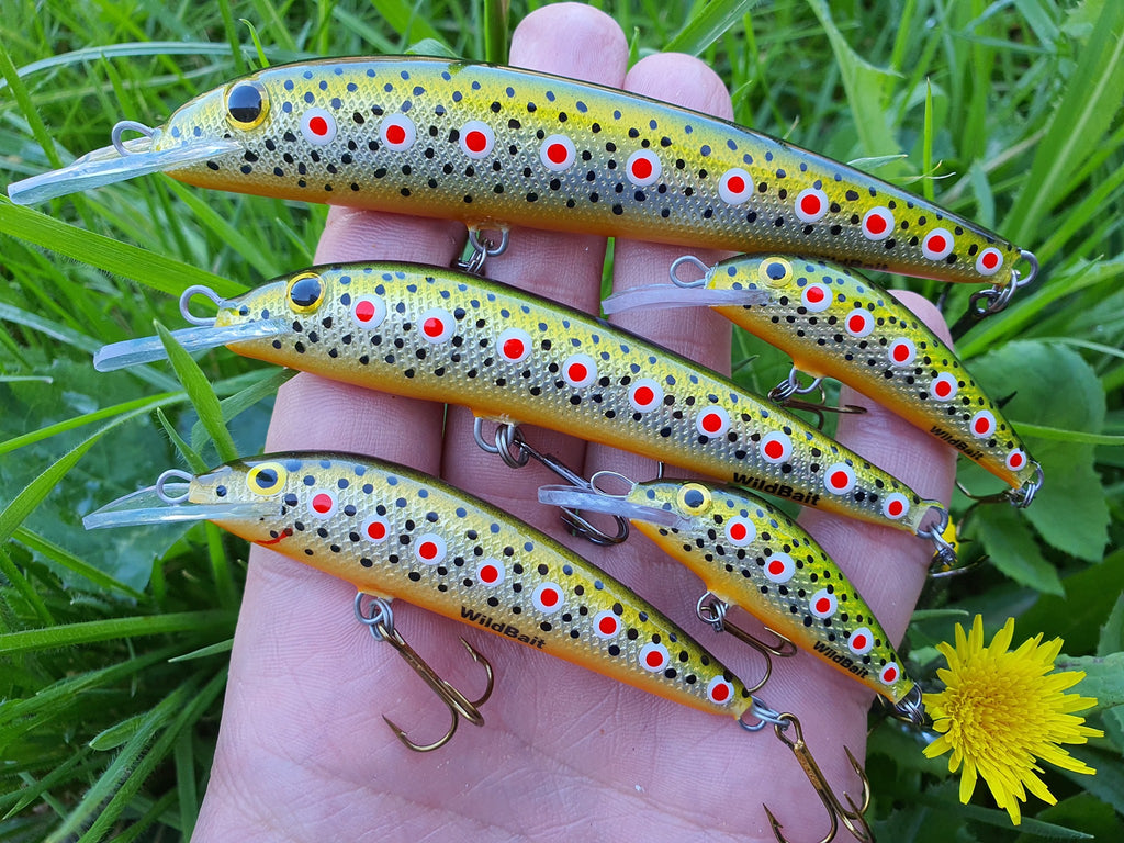 Leech H4X DAY - The Wild Minnow