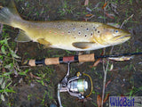 WildBait Stick Fishing Rod 2025