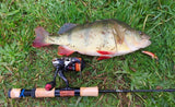 WildBait Stick Fishing Rod 2025