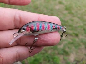 Leech H4X DAY - The Wild Minnow