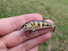 Leech H4X DAY - The Wild Minnow