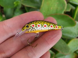 Leech H4X DAY - The Wild Minnow