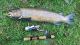 WildBait Stick Fishing Rod 2025
