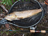 WildBait Stick Fishing Rod 2025